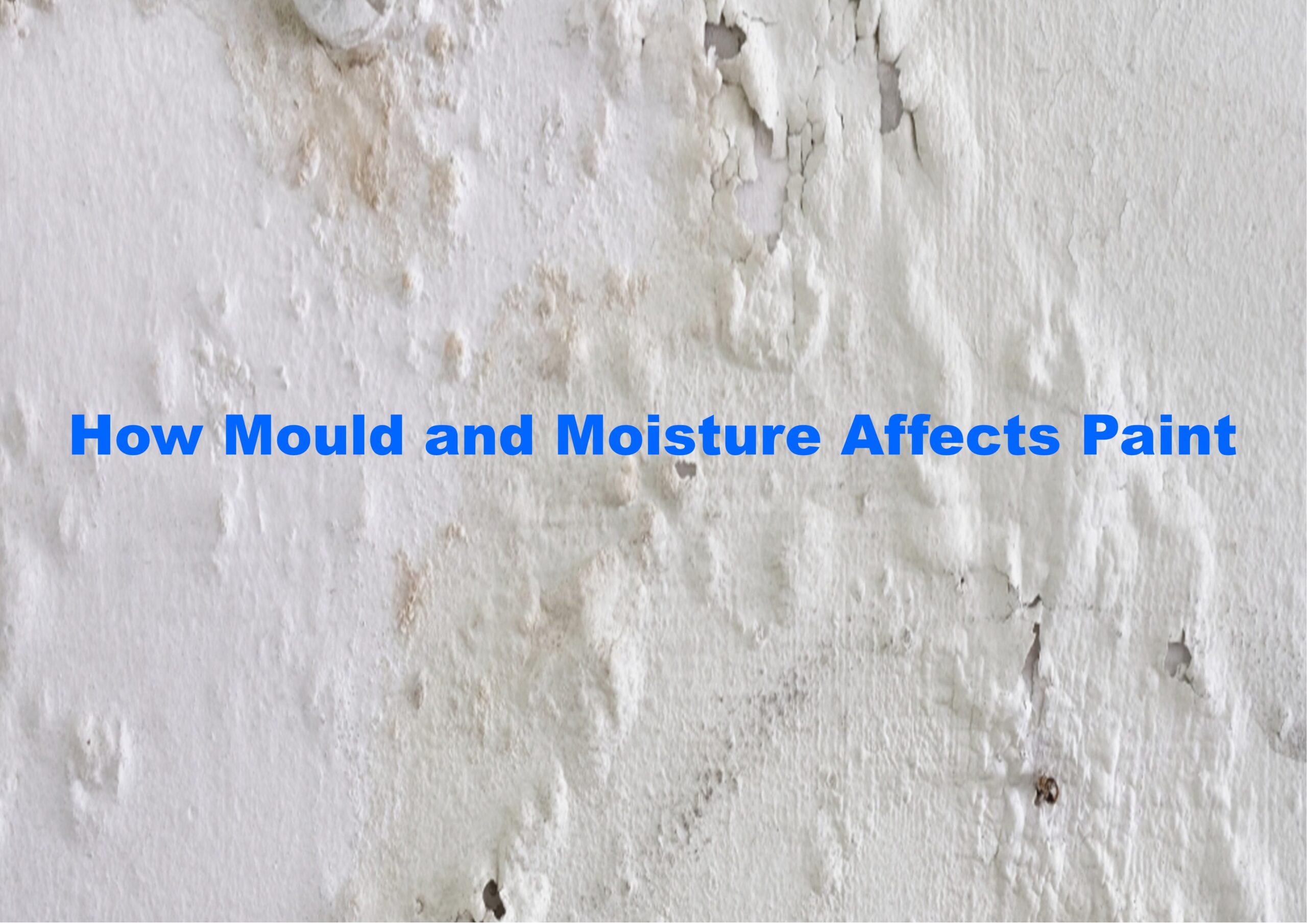 How mould and moisture affects paint